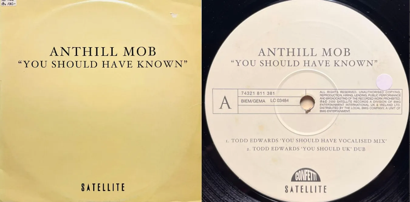 Anthill Mob – You Should Have Known
